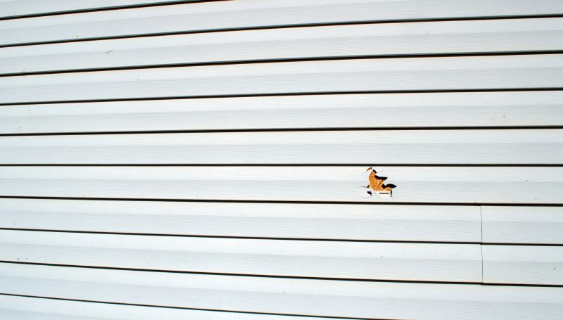 Repair and Restoration